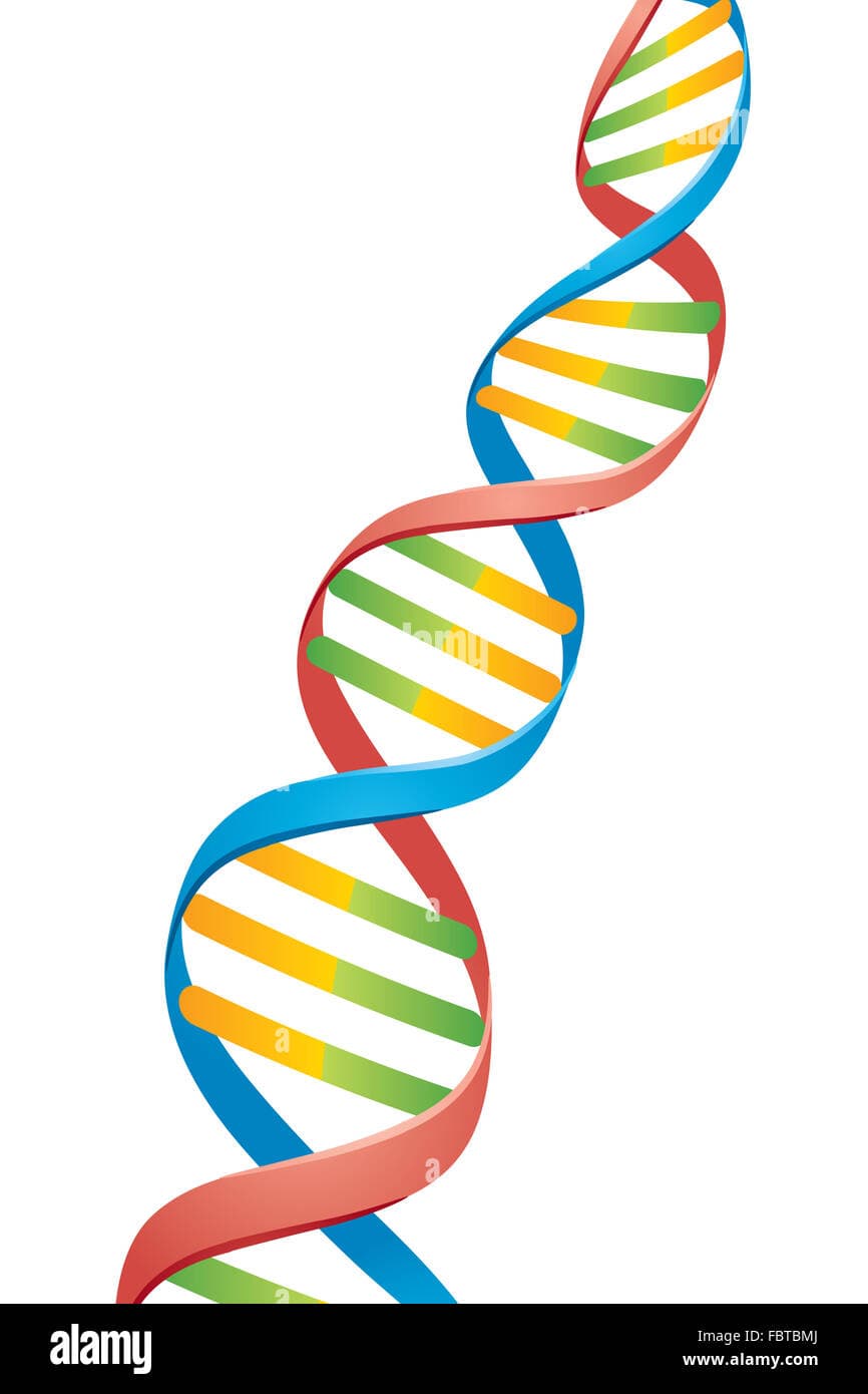 Know Your DNA